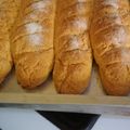 El cooksnap de Mariela Castiñeiras cuando hizo Pan 🍞 de Maíz.