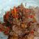 Cooksnap dari N I D I A N G untuk resep Daging balado