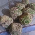 Cooksnap dari Ummu Uwais untuk resep Onde-Onde Isi Kacang Merah Lembut Dan Kokoh