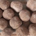 Cooksnap dari Kurniati Rahayuni untuk resep Bola Bola Coklat Biskuit Marie