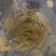 El cooksnap de Ainoa Doñas cuando hizo Guacamole casero.
