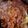 Nehal Patel's cooksnap of when they made લસણની ચટણી (Garlic Chutney Recipe In Gujarati).