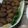شهد خالد 's cooksnap of when they made كبة مقلية.