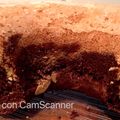 El cooksnap de alfonsina pintos cuando hizo Torta marmolada fácil 🥧.