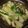 Cooksnap dari Sanny Gan untuk resep Resep Sawi Pokcoy Tumis Saos Tiram dan Jamur (Chinese Food)