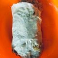 Cooksnap dari Susanto Santo untuk resep Lumpia Basah Bandung