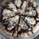 Cooksnap dari Maya untuk resep Banana Pizza (Pizza manis)