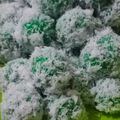 Cooksnap dari Cheesee untuk resep Kue Kelepon Ketan Gula Merah Viral