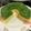 Cooksnap dari Arlin N untuk resep Puding Pandan Lumut Mentega #selasabisa