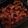 laura_bbb's cooksnap of when they made Honey BBQ Baked Chicken Wings.