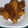 Cooksnap dari Puji Lestari untuk resep Ayam Goreng Lengkuas