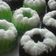 Cooksnap dari Ie untuk resep Putu ayu pandan
