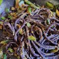 El cooksnap de Ceci Mald cuando hizo Fideos con zapallitos verdes y limón🍋🍋.