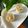 Cooksnap của nhinguyen212 khi họ làm theo món Custard Chuối (cho bé ăn dặm)