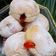 Cooksnap dari Mamah_novnov untuk resep Donat Empuk isi Selai