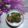 Cooksnap dari yeninirma untuk resep Bubur singkong gula merah
