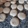 El cooksnap de Dario Ricciardi cuando hizo Receta básica de galletitas sin gluten y sin lácteos, fáciles y económicas.