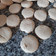 El cooksnap de Dario Ricciardi cuando hizo Receta básica de galletitas sin gluten y sin lácteos, fáciles y económicas.