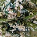Cooksnap dari Nurmalasari untuk resep Urap kangkung basah 👌