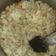 El cooksnap de Nahuel Rivas cuando hizo Reviro.