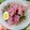 Cooksnap dari Deline untuk resep Mie sop kampung