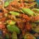 Cooksnap dari Adinda Maharani untuk resep Sambal goreng teri pete (pedas)