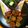 Kinkini Biswas's cooksnap of when they made মুসুর ডালের পকোড়া.