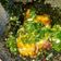 Cooksnap dari Zie Zalfa Izzatunnisa untuk resep Ayam penyet cabe ijo
