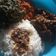 Cooksnap dari Bundawanda Roka untuk resep Sambal LADO MERAH khas RM padang