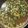 Bevie's cooksnap of when they made Crockpot Pinto Beans.