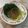 Cooksnap dari Niar Arifuddin untuk resep (3.52) Pokchoy Saus Tiram