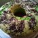 Cooksnap dari Wulan untuk resep Resep bolu pandan super pembut 4 telur