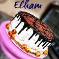 کوک اسنپ Elham بعد از امتحان کردن کیک تیرامیسو.