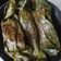 Cooksnap dari Yuli Elang untuk resep Ikan layang,pepes kemangi