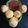 Iime Amit Trivedi's cooksnap of when they made ફરાળી બફવડા (Farali Bafvada Recipe In Gujarati).