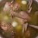 Cooksnap dari Ipritz Piter untuk resep Sop ayam wortel