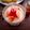 Cooksnap dari Dapur ELVA untuk resep Es Tomat Yakult#Bandungrecook2_IndahTriwiartuti