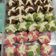 Cooksnap dari Ratna untuk resep Bolu Kukus Mekar super lembut *anti gagal