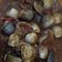 Cooksnap dari Bernadette Maureen untuk resep Kerang Tahu Saos Padang