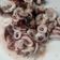 Cooksnap dari wulanandri untuk resep Cumi tumis garlic olive oil