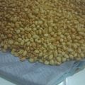 Cooksnap dari Wid Wied untuk resep Kacang Bawang Gurih