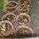 Cooksnap dari Sya_anshori untuk resep Fudge chewy brownies
