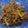 carrie miin stuey Chung 的 蔥爆牛肉 cooksnap