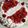 El cooksnap de Nelida G. Carbajo cuando hizo Torta rellena de fresas y crema pastelera.