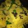 Deepti Kulshrestha का कुकस्नैप जब उन्होंने बेसन का ढोकला(Besan ka Dhokla Recipe in Hindi) बनाया था।