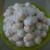 Cooksnap dari Ermala Dianti untuk resep Putri Salju Keju