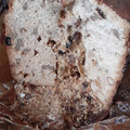 El cooksnap de majose1957 cuando hizo Pan dulce extra fácil, súper express.
