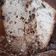El cooksnap de majose1957 cuando hizo Pan dulce extra fácil, súper express.