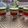 Sarosh Zeeshan's cooksnap of when they made Three Color Jelly Custard.