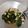 Cooksnap dari sanggi ta untuk resep Tumis Daun Ceciwis atau ceriwi (#postingrame2_sayurtumis)
